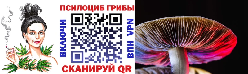 Галлюциногенные грибы Cubensis  наркота  Фролово 