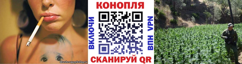 где продают наркотики  Фролово  Канабис план 